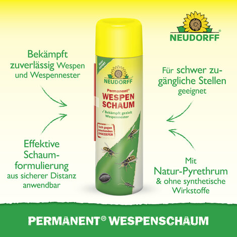 Permanent WespenSchaum Sprechende Bilder Bild 2
