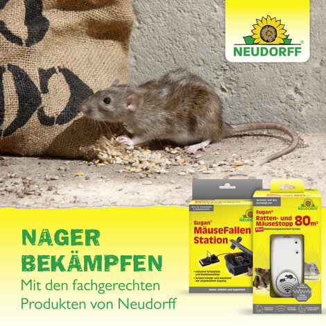 Quiritox WühlmausKöder Depot Sprechende Bilder Bild 8