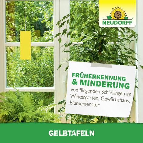 Gelbtafeln (kleinformatig) Sprechende Bilder Bild 7