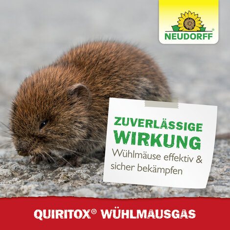 Quiritox WühlmausGas Sprechende Bilder Bild 7