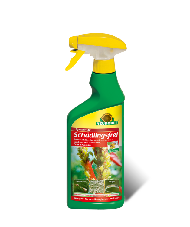 Spruzit AF Schädlingsfrei