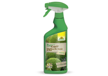 Neudorff BioKraft Vitalkur für Buxus & Ilex AF
