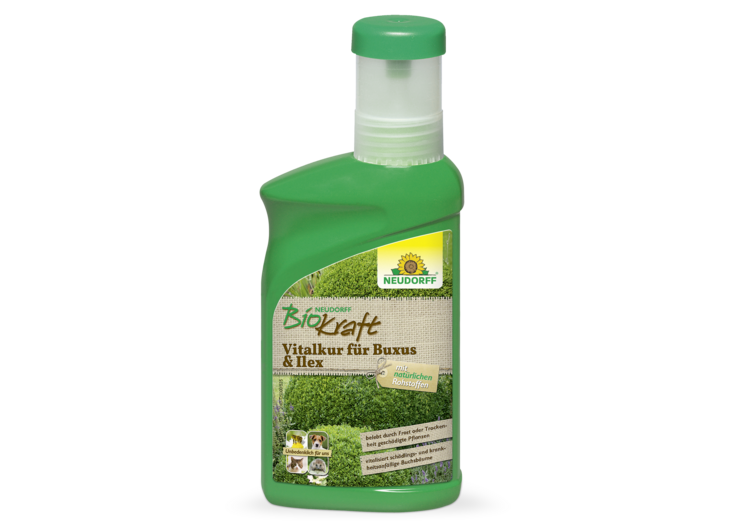 Neudorff BioKraft Vitalkur für Buxus & Ilex