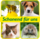 AT - schonend für uns 4 Tiere