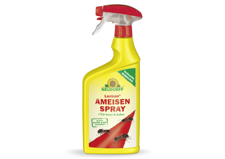 Loxiran AF AmeisenSpray