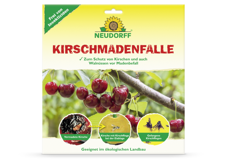 KirschmadenFalle