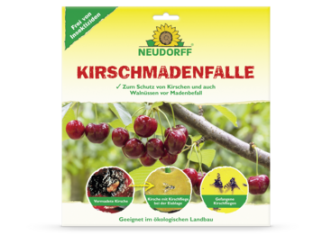 KirschmadenFalle