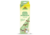 Permanent SpeisemottenKlebefalle