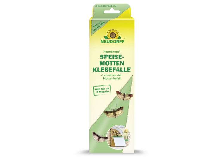 Permanent SpeisemottenKlebefalle