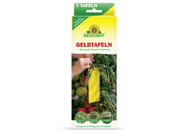 Gelbtafeln (kleinformatig)