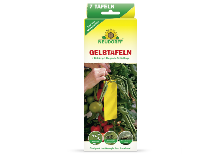 Gelbtafeln (kleinformatig)