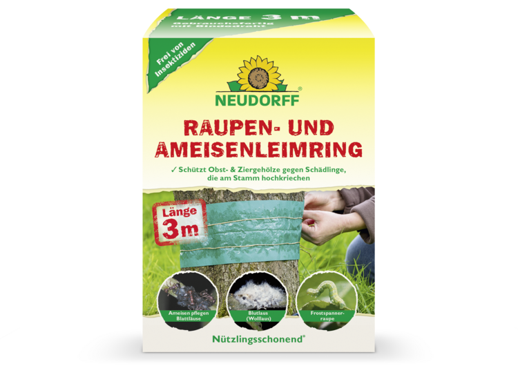 Raupen- und AmeisenLeimring